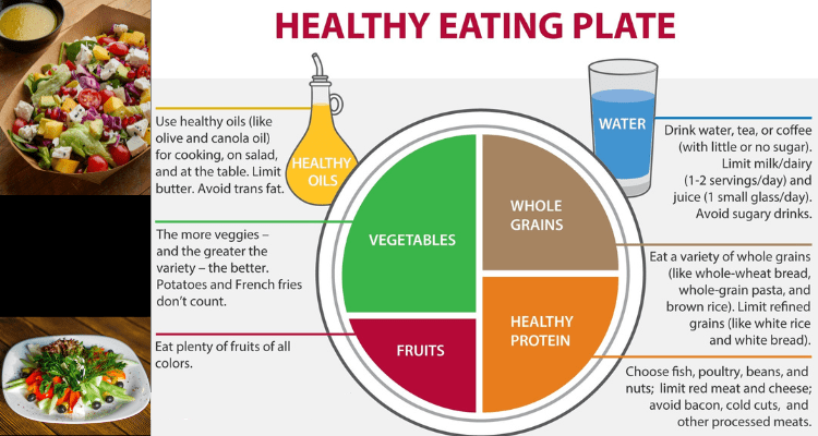 Developing Healthy Eating Habits. Healthy Eating Plate